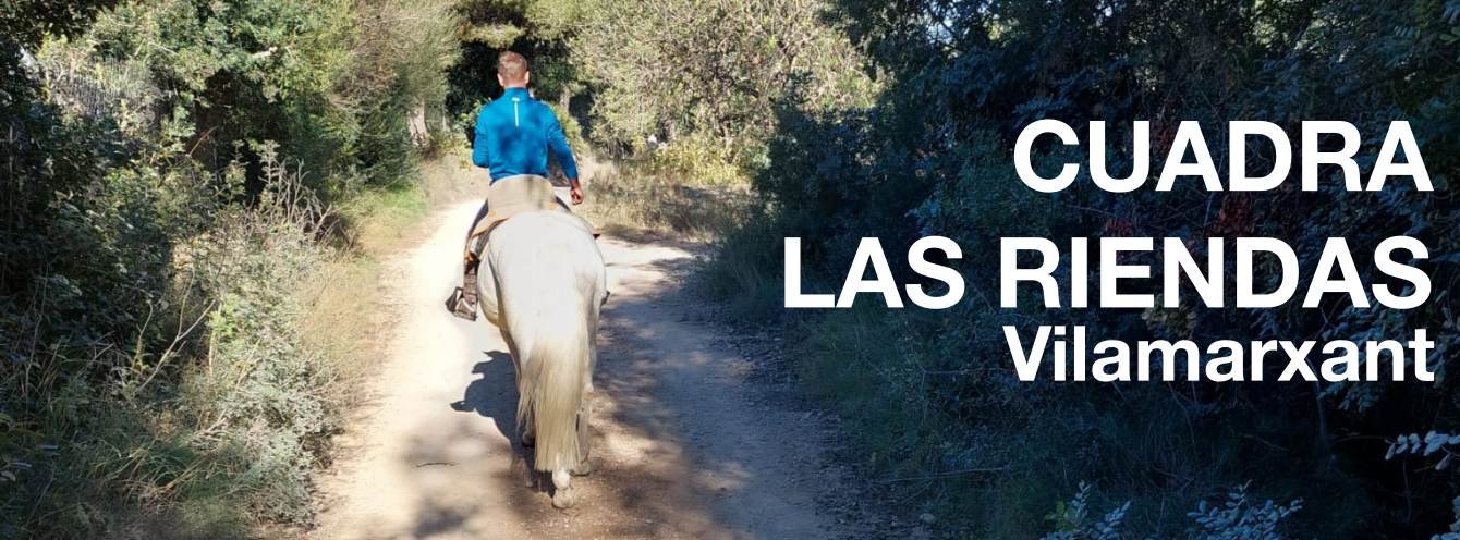 Paseos a caballo y pony por los parajes de Vilamarxant