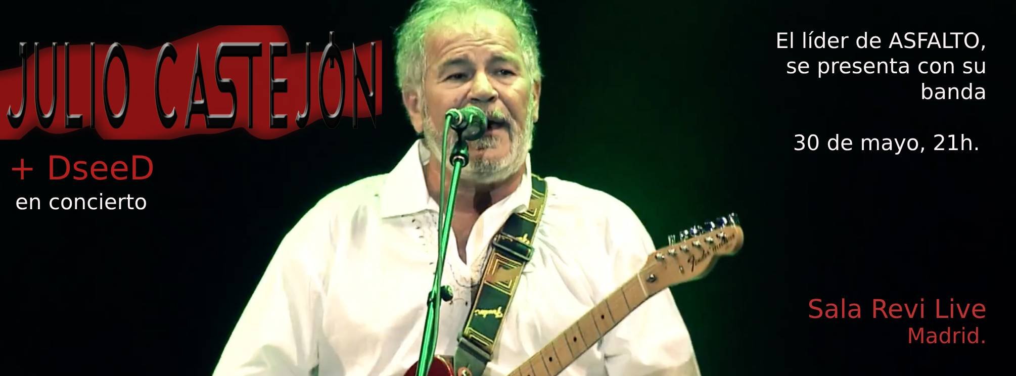 JULIO CASTEJON en concierto