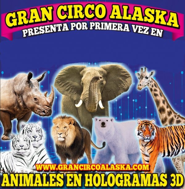 Gran Circo Alaska en Córdoba