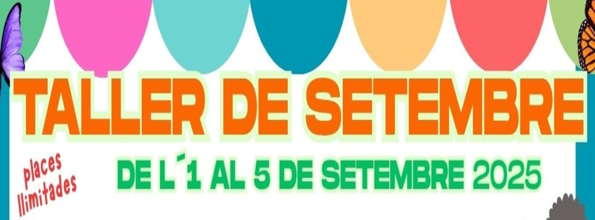 TALLER DE SETEMBRE 2025