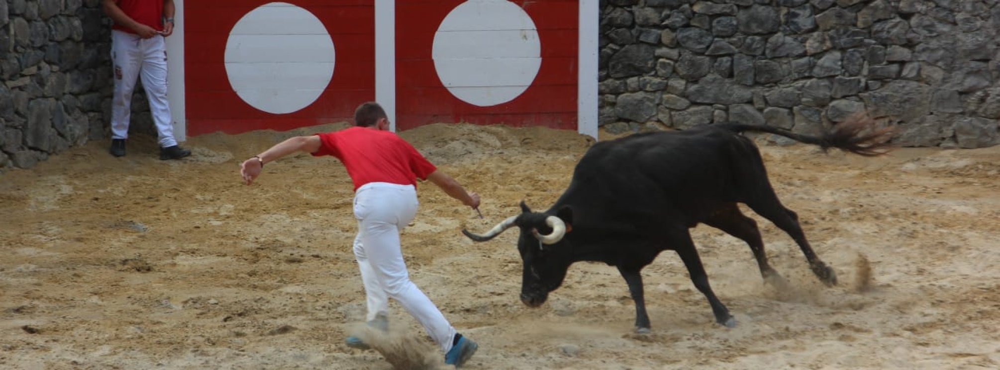 EXHIBICIÓN DE BULLFIGHTING Y RECORTES