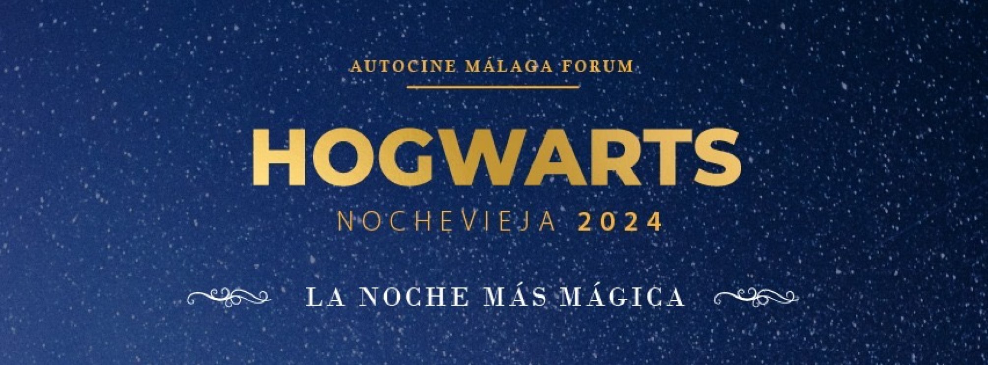 HOGWARTS NOCHEVIEJA 2024