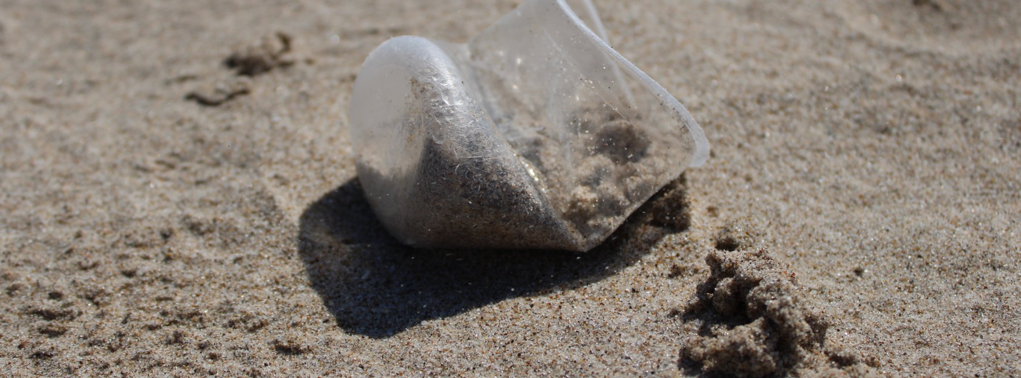 Limpieza de Playa// 21 de Julio
