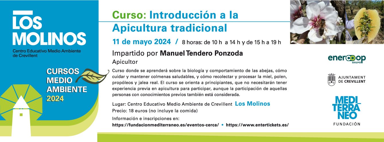 Curso “Introducción a la apicultura tradicional”.