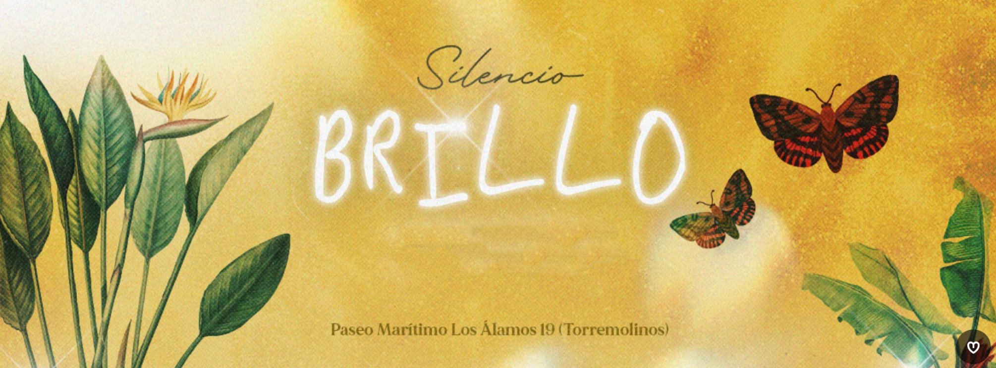 BRILLO ON THE BEACH - CLOSING - 12.09