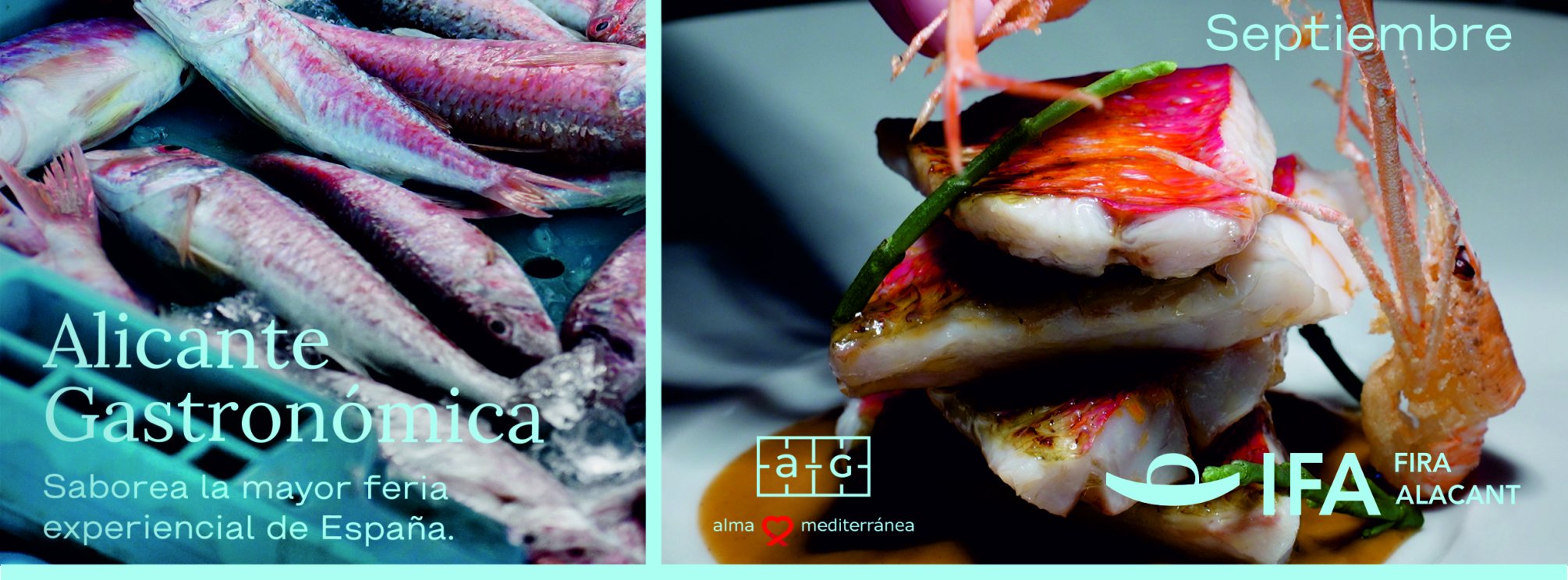 ACREDITACIÓN PROFESIONAL ALICANTE GASTRONÓMICA 24.