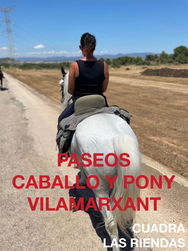 Paseos a caballo y pony por los parajes de Vilamarxant