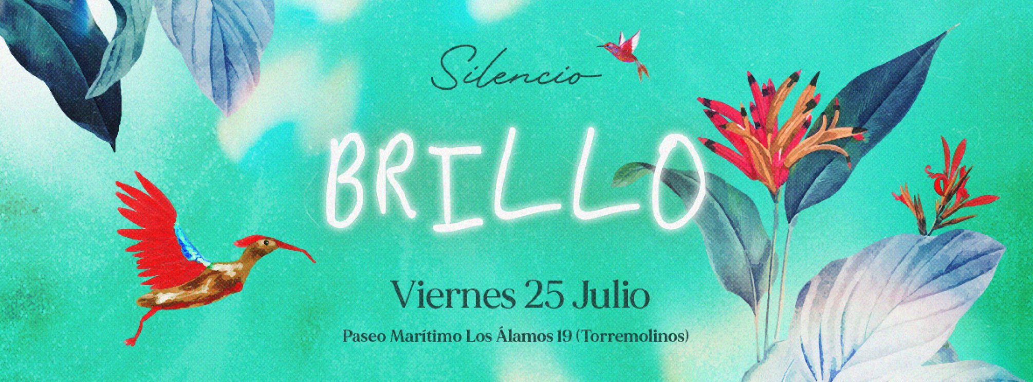 BRILLO ON THE BEACH - 25 JUL