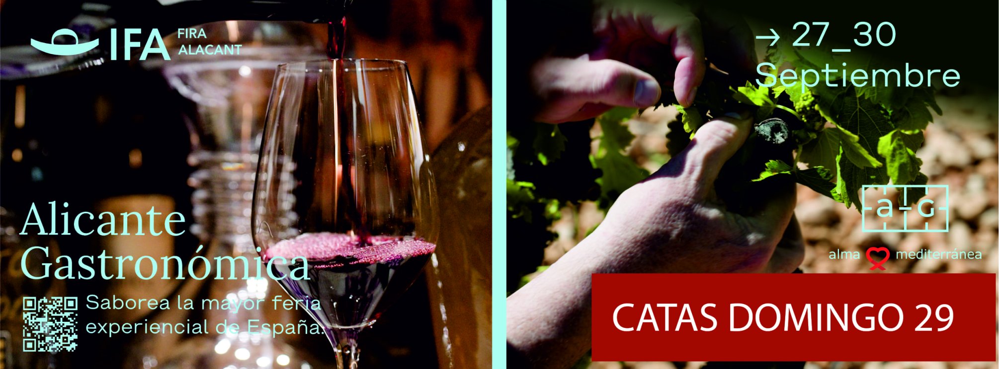 CATAS DOMINGO 29 ALICANTE GASTRONÓMICA 2024