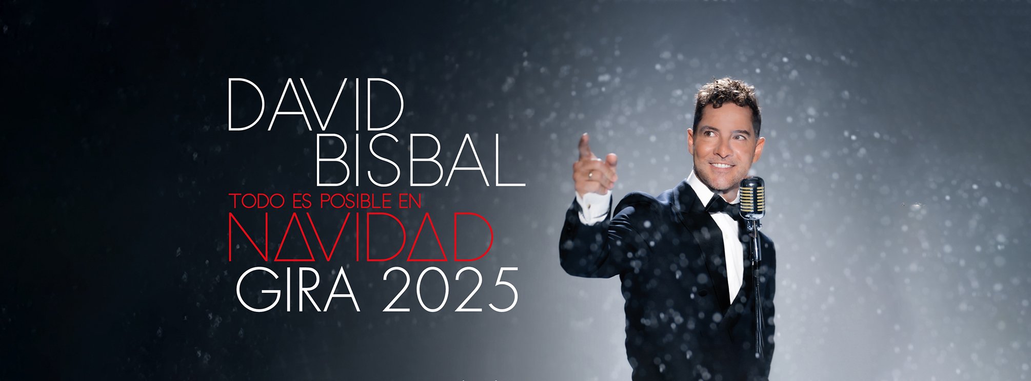 David Bisbal en Valencia