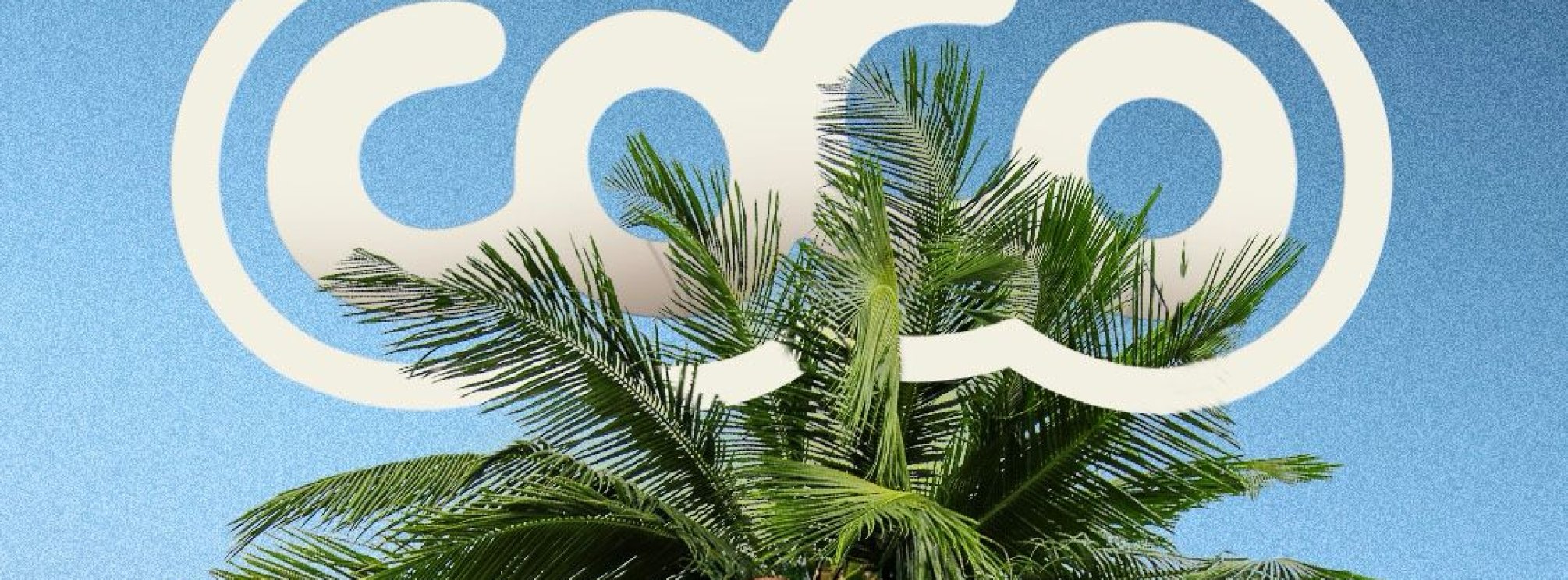 COCO THE OPENING