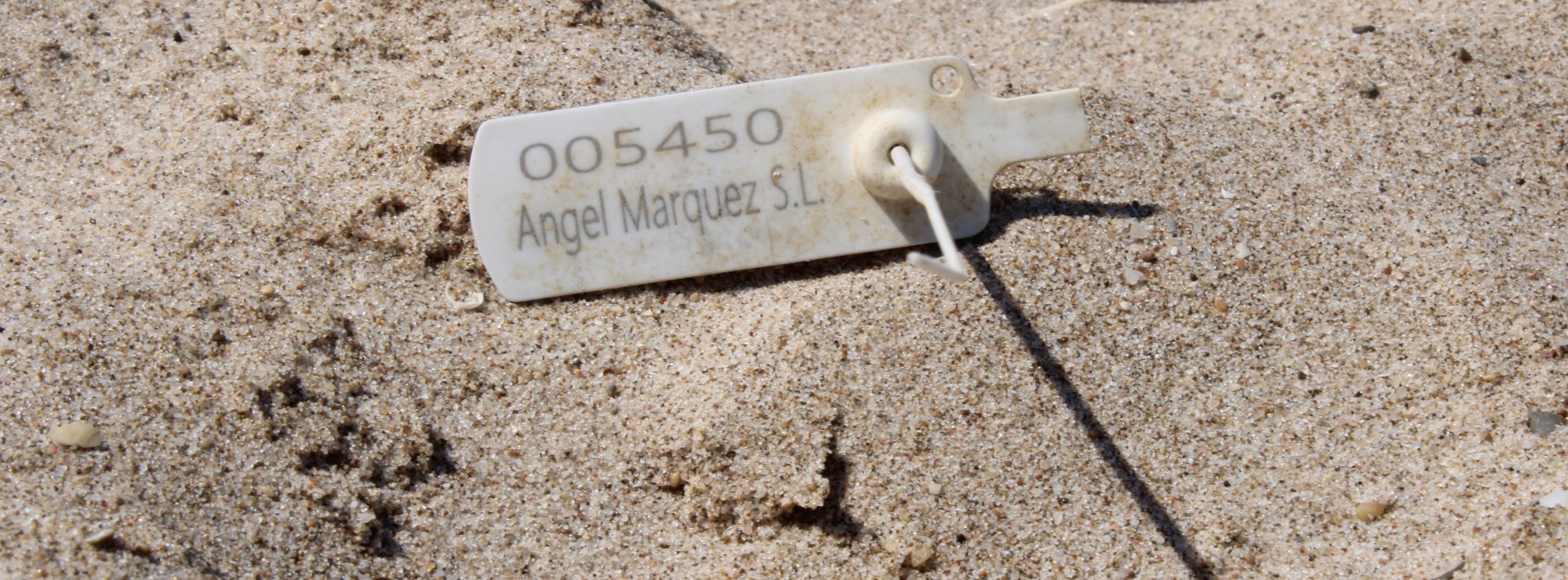 Limpieza de Playa// 18 de Agosto