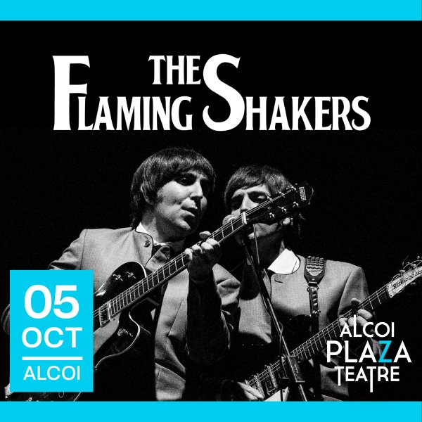 FLAMING SHAKERS