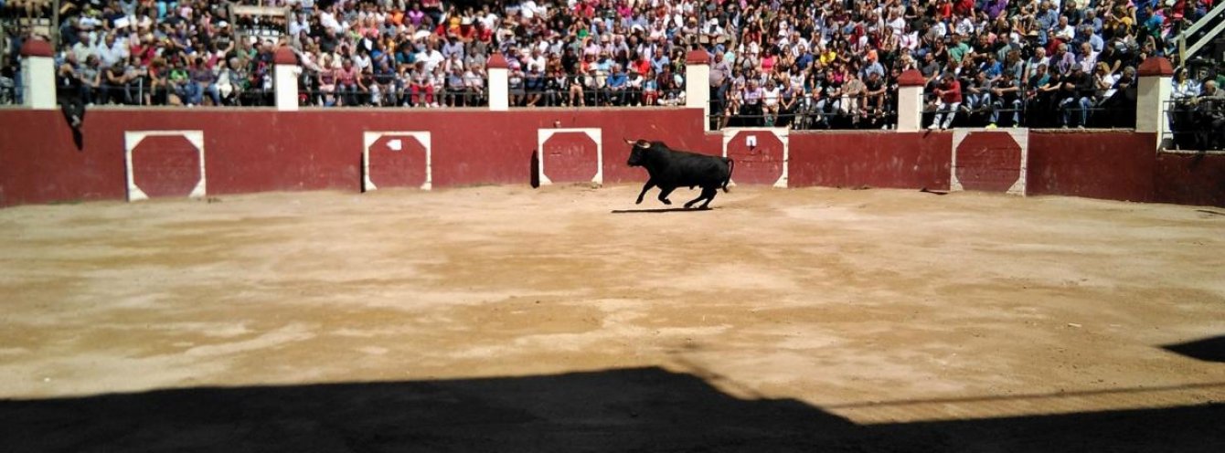 Novillada sin picadores en Benassal (Castellón)