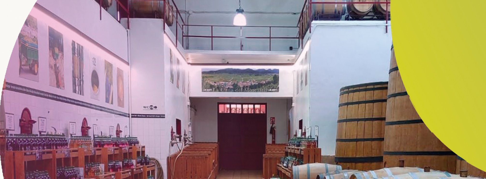 Encuentro con las marcas de Alicante. Visita a Bodegas Xaló