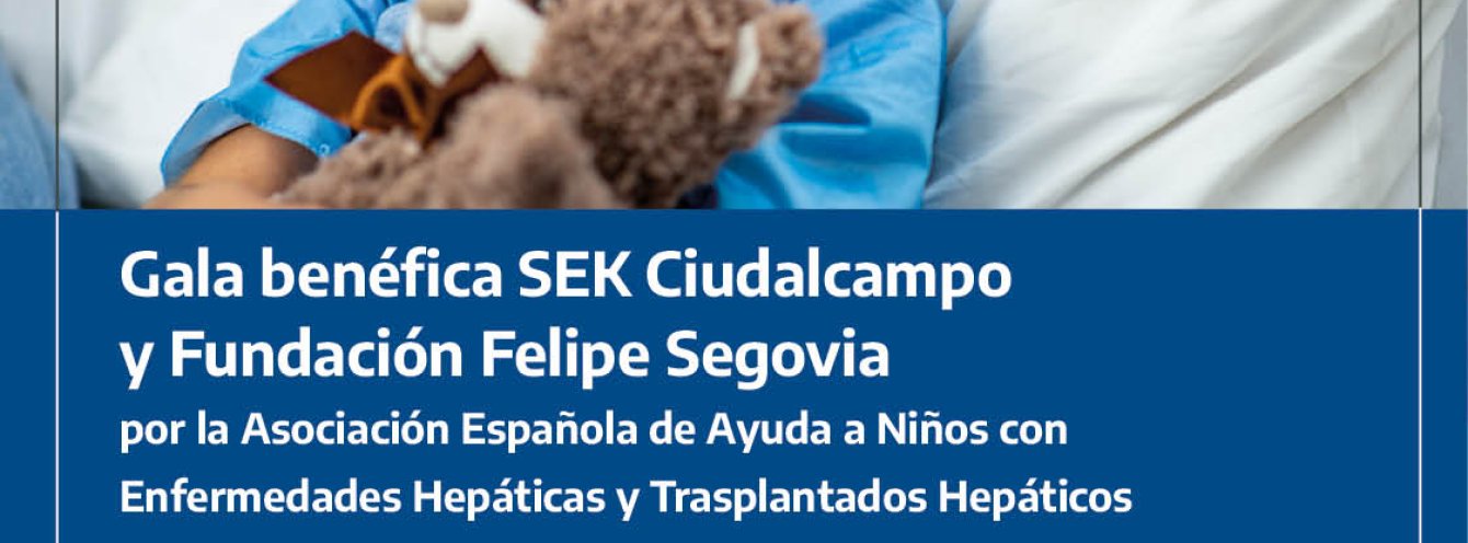 Gala Benéfica SEK-CIUDALCAMPO y FUNDACIÓN FELIPE SEGOVIA por HEPA
