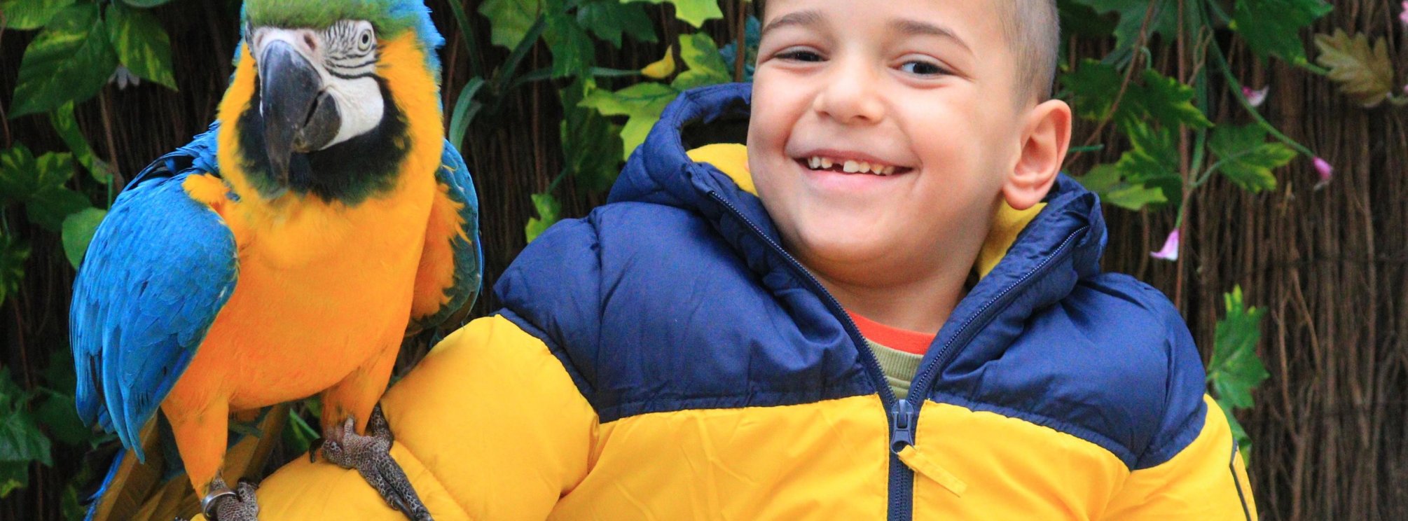 Donaciones - Asociación Luchando Por La Vida