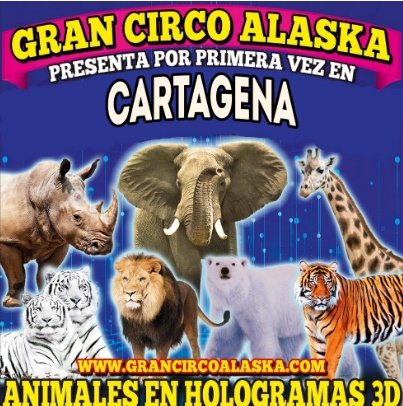 Gran Circo Alaska - Hologramas animales 3D