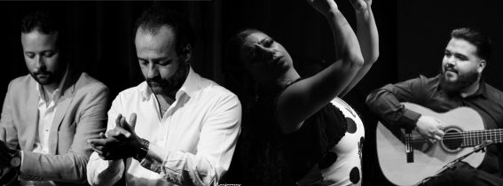 Flamenco On Fire 2025. Tablao On Fire. A Canela de San Roque.