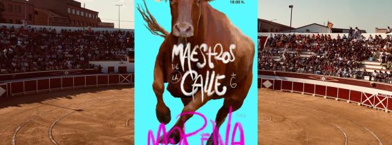 CONCURSO DE RECORTADORES - MAESTROS DE LA CALLE