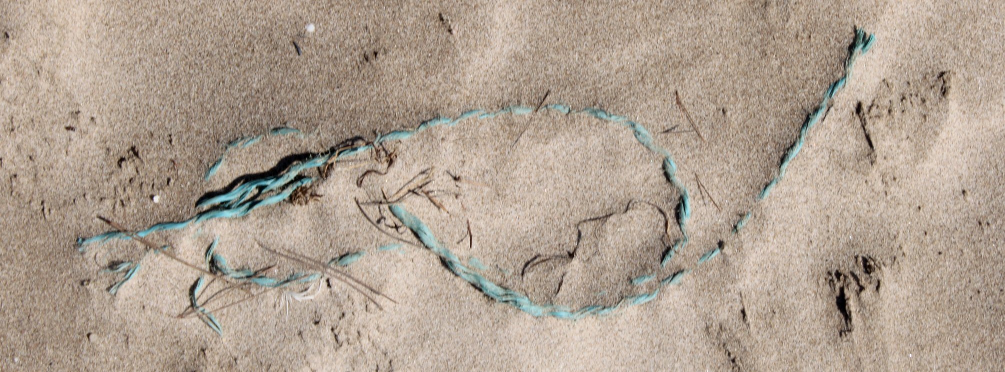 Limpieza de Playa // 20 de Octubre