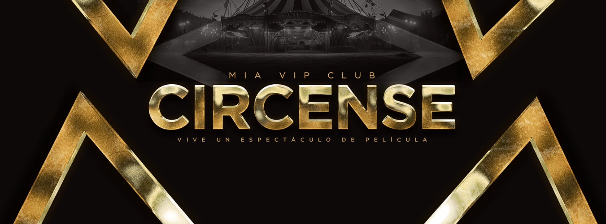 NOCHEVIEJA 2024 - CIRCENSE