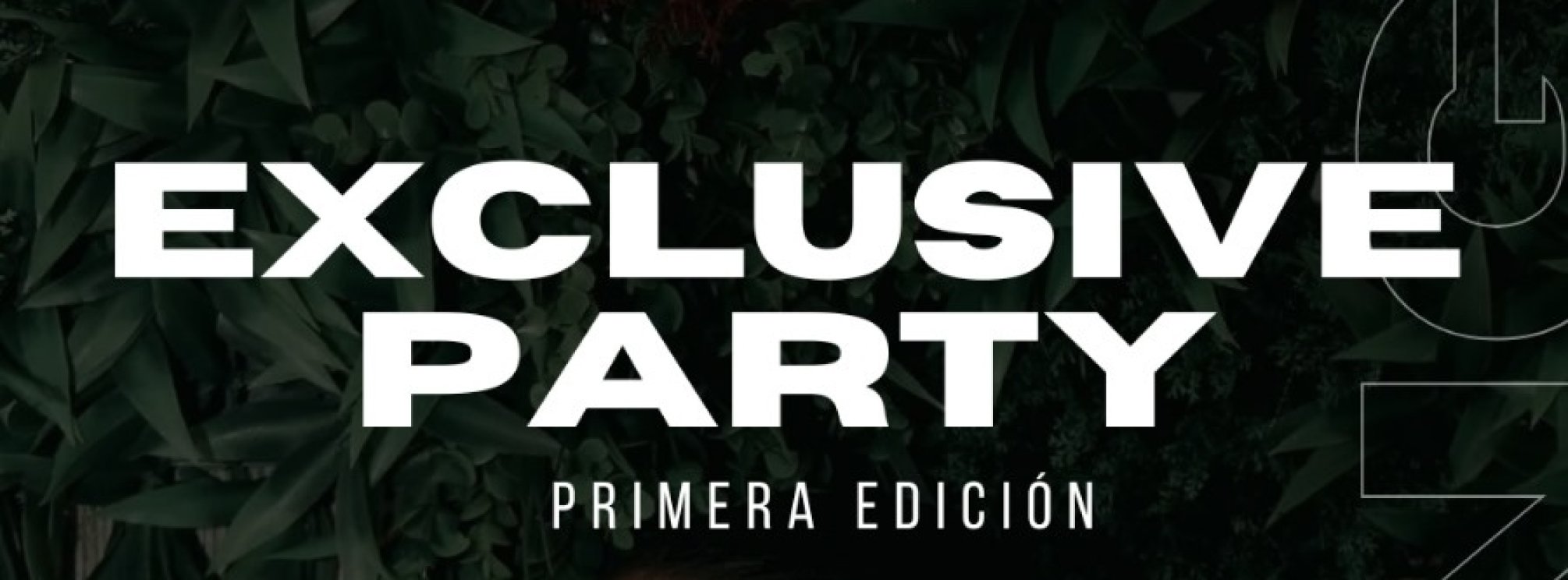 EXCLUSIVE PARTY (2ª PLANTA)
